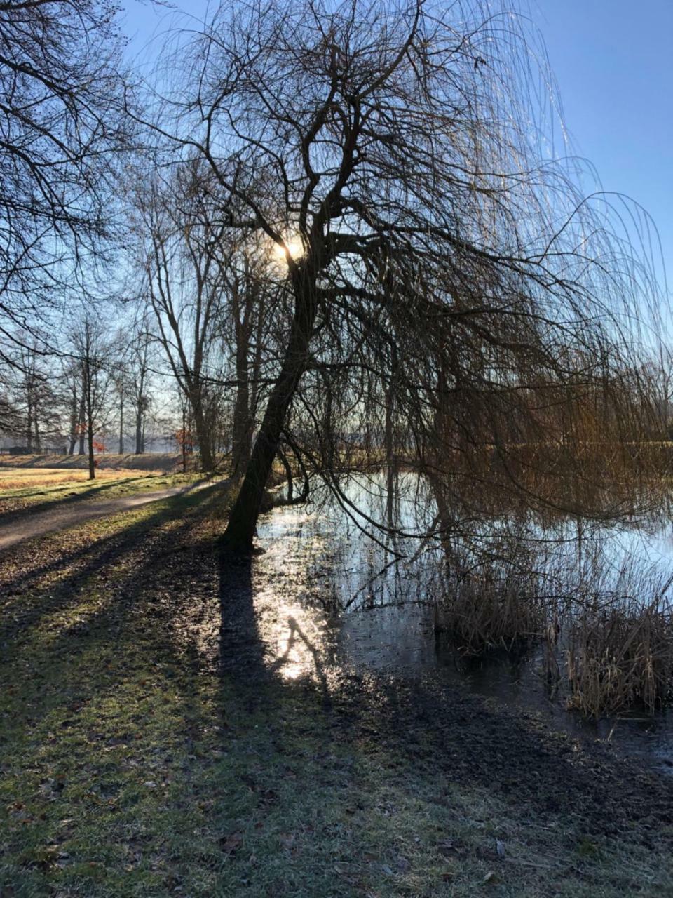 Hotel Am Doktorplatz Rheda-Wiedenbrück Exteriér fotografie